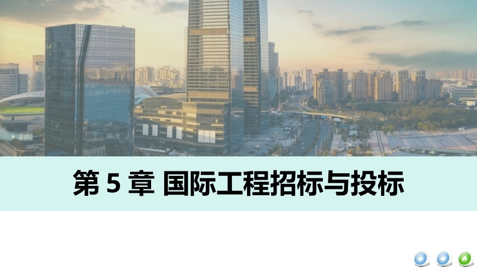 国际工程管理（本科）：国际工程招标与投标PPT教学课件.pptx_第2页