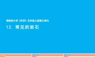 小学科学新粤教粤科版五年级上册三四单元教学课件（2026秋新版）.rar