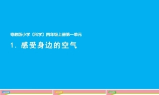 小学科学新粤教粤科版四年级上册一二单元教学课件（2026秋新版）.rar