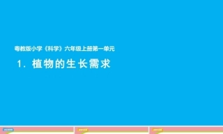 小学科学新粤教粤科版六年级上册一单元教学课件（2026秋新版）.rar