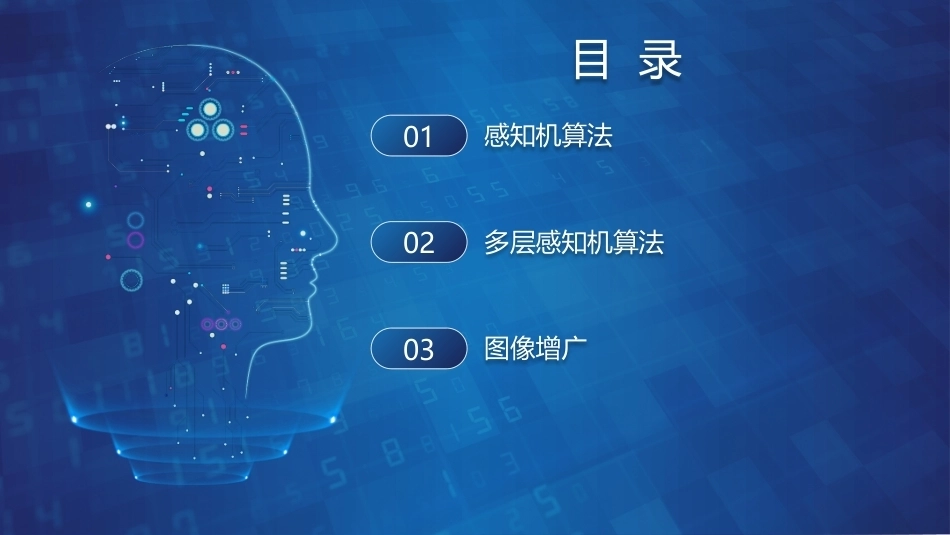 机器学习基础与应用：基于多层感知机的相册分类PPT教学课件.pptx_第2页