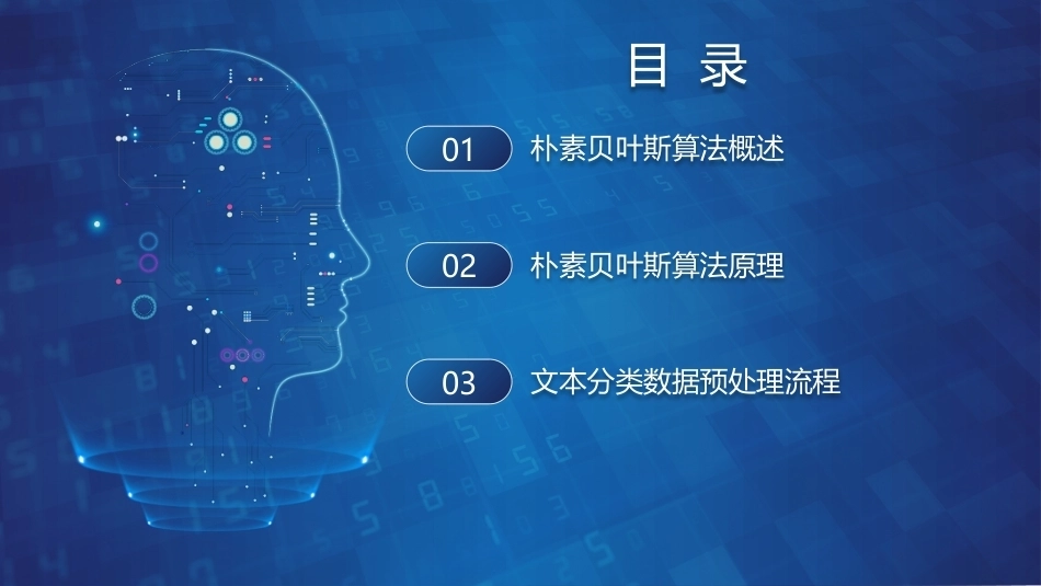 机器学习基础与应用：基于朴素贝叶斯算法的店铺评论分类PPT教学课件.pptx_第2页