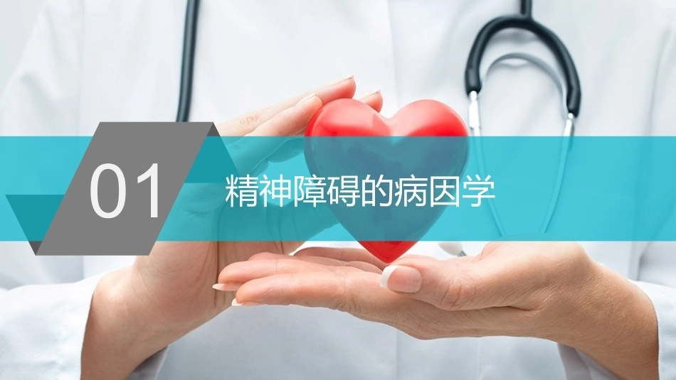 精神科护理学：精神障碍的基本知识教学课件.pptx_第3页