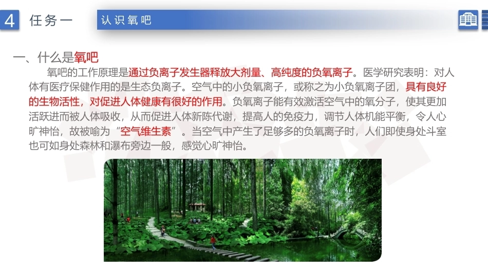 康乐服务与管理：氧吧项目的相关知识及服务PPT教学课件.pptx_第3页