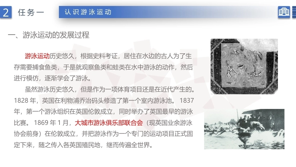 康乐服务与管理：游泳项目的相关知识及其服务PPT教学课件.pptx_第3页