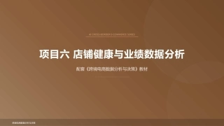 跨境电商数据分析与决策：店铺健康与业绩数据分析PPT教学课件.pptx