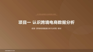 跨境电商数据分析与决策：认识跨境电商数据分析PPT教学课件.pptx