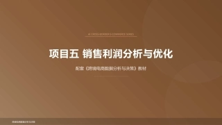 跨境电商数据分析与决策：销售利润分析与优化PPT教学课件.pptx