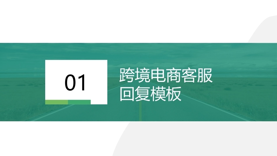 跨境电子商务客户服务：跨境电子商务客户服务案例分析PPT教学课件.pptx_第2页