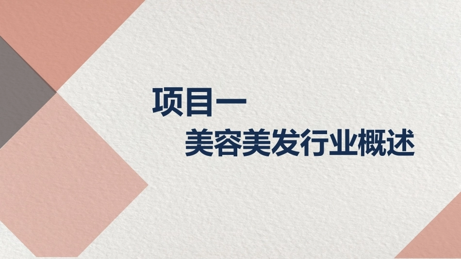 美容美发店创业实务：美容美发行业概述PPT教学课件.pptx_第2页