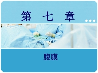 人体解剖学：腹膜PPT教学课件.pptx