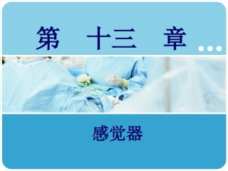 人体解剖学：感觉器PPT教学课件.pptx