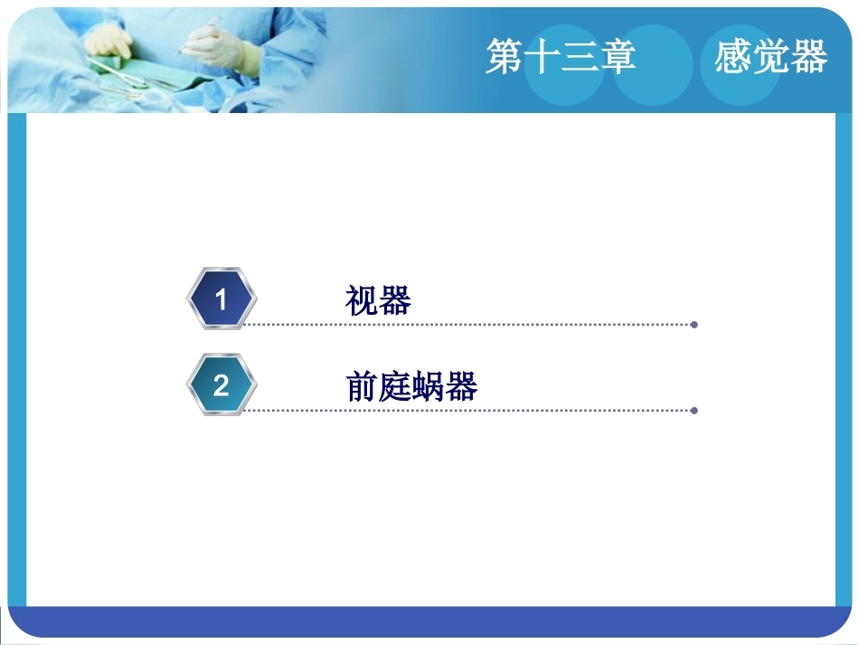 人体解剖学：感觉器PPT教学课件.pptx_第2页