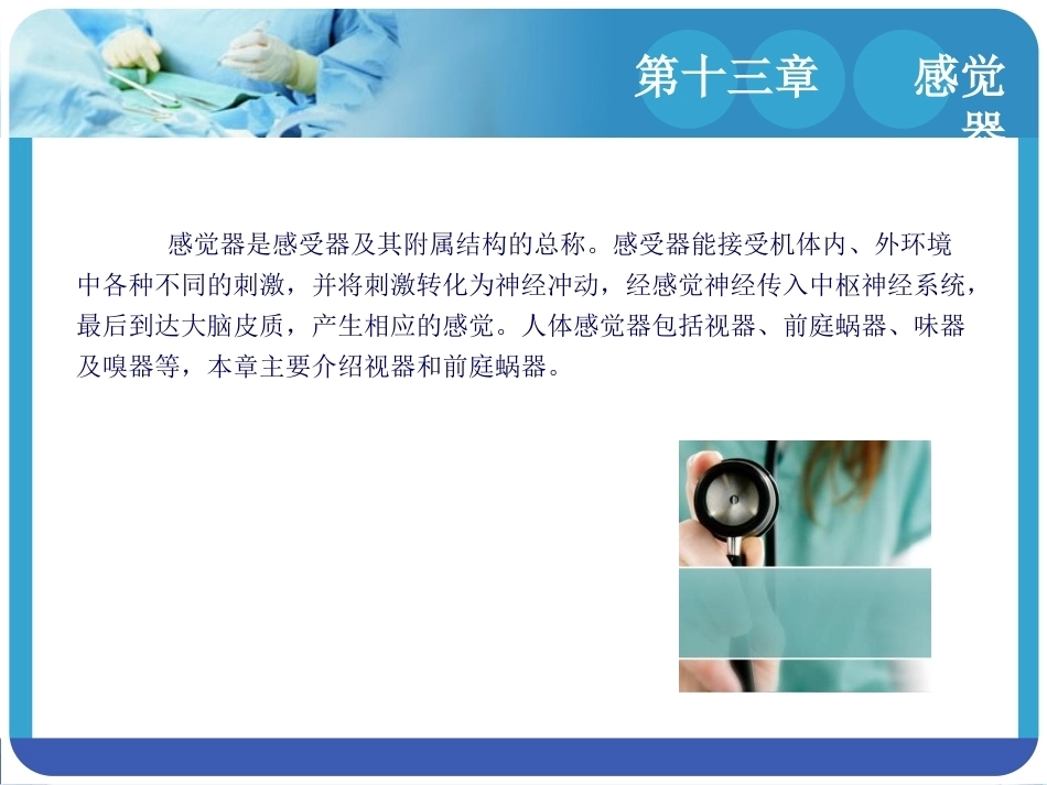 人体解剖学：感觉器PPT教学课件.pptx_第3页