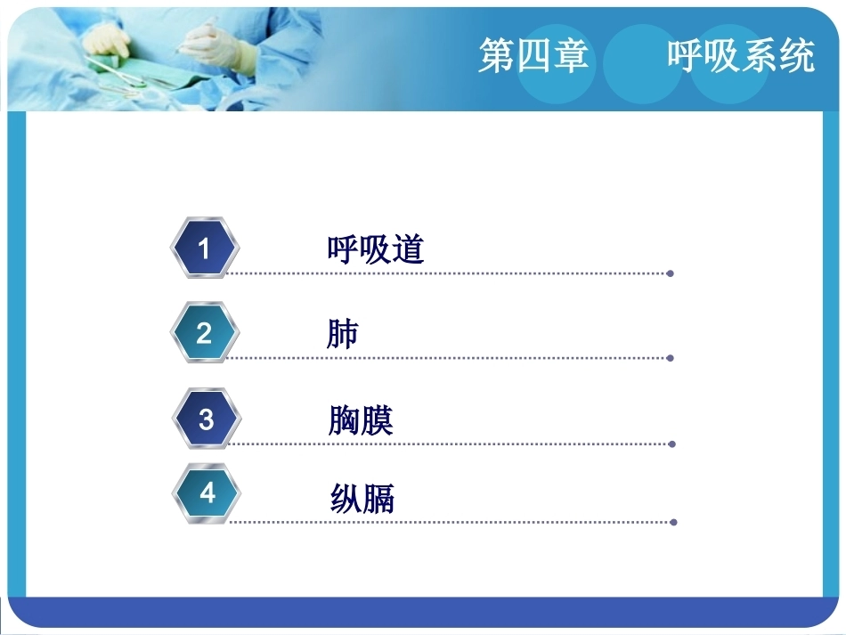 人体解剖学：呼吸系统PPT教学课件.pptx_第2页
