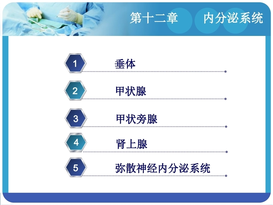 人体解剖学：内分泌系统PPT教学课件.pptx_第2页