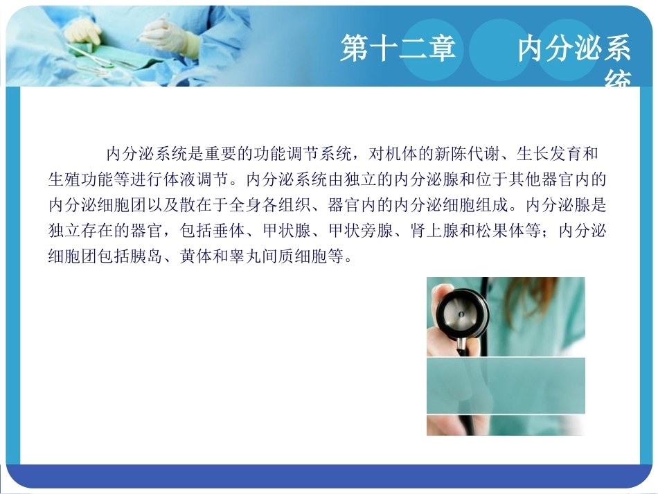 人体解剖学：内分泌系统PPT教学课件.pptx_第3页