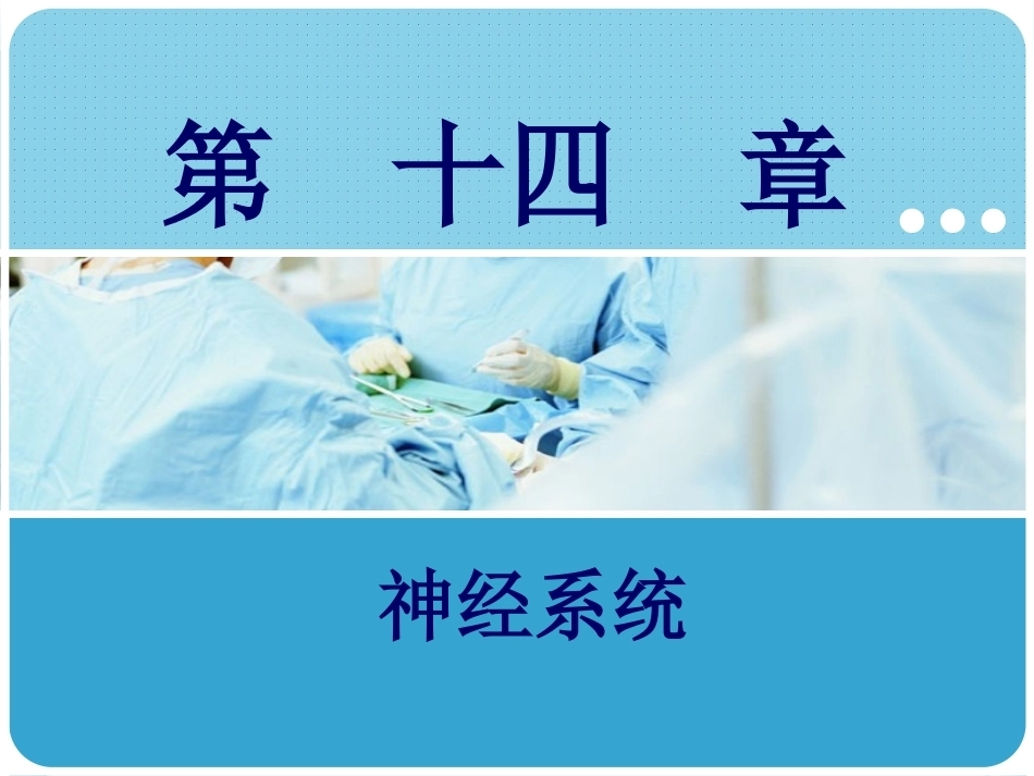 人体解剖学：神经系统PPT教学课件.pptx_第1页