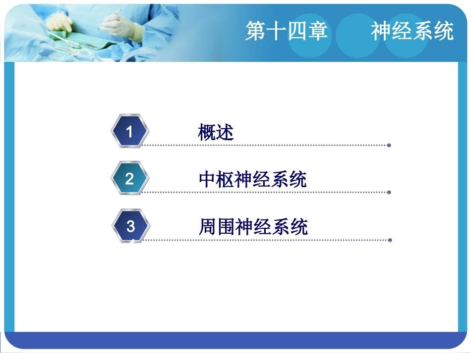 人体解剖学：神经系统PPT教学课件.pptx_第2页