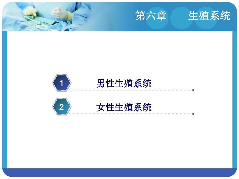 人体解剖学：生殖系统PPT教学课件.pptx_第2页