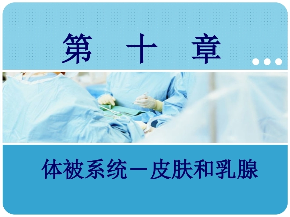 人体解剖学：体被系统―皮肤和乳腺PPT教学课件.pptx_第1页