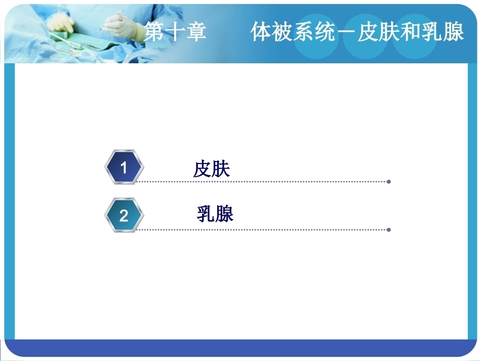 人体解剖学：体被系统―皮肤和乳腺PPT教学课件.pptx_第2页