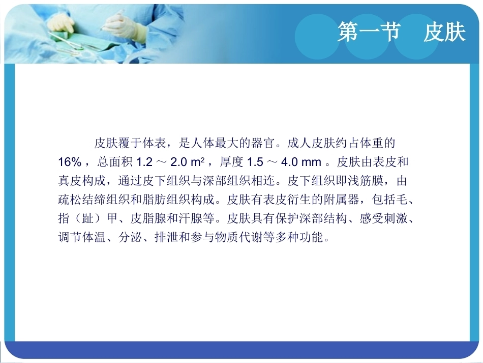 人体解剖学：体被系统―皮肤和乳腺PPT教学课件.pptx_第3页
