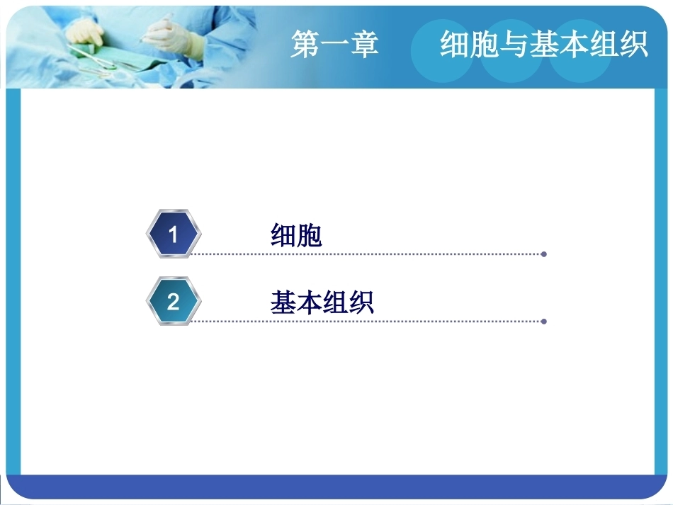 人体解剖学：细胞与基本组织PPT教学课件.pptx_第2页