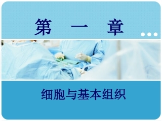 人体解剖学：细胞与基本组织PPT教学课件.pptx