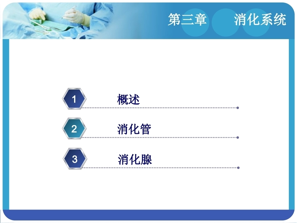人体解剖学：消化系统PPT教学课件.pptx_第2页