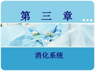 人体解剖学：消化系统PPT教学课件.pptx
