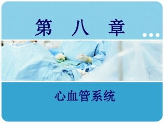 人体解剖学：心血管系统PPT教学课件.pptx