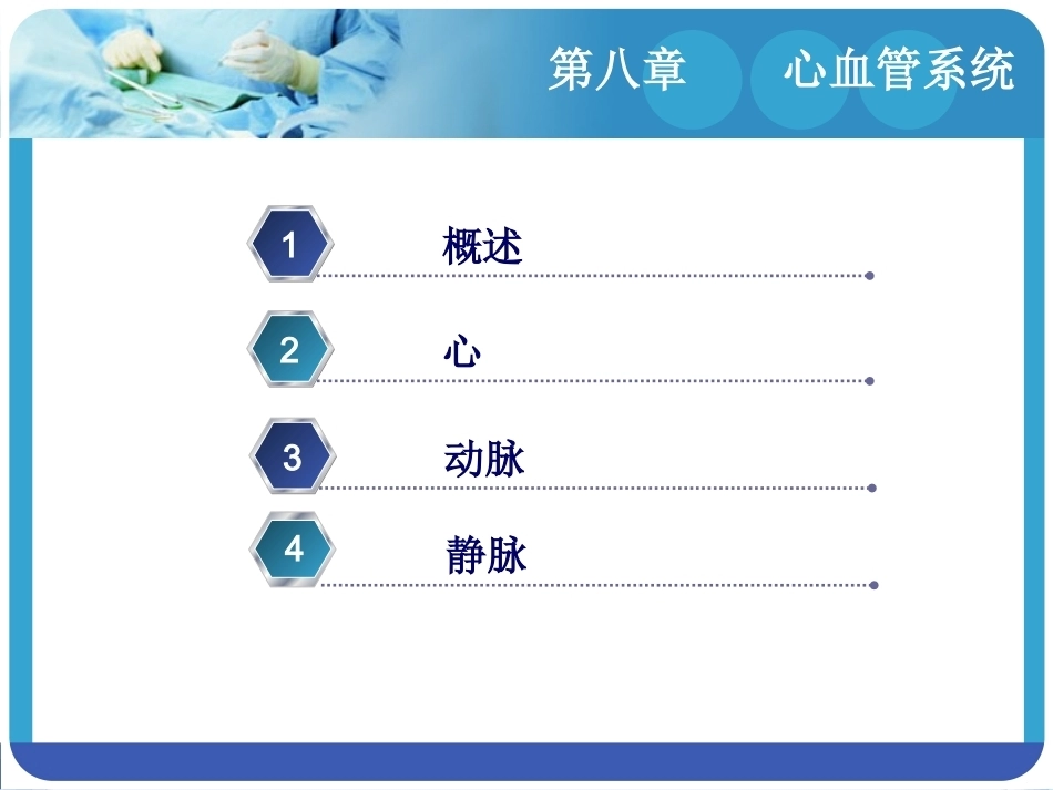 人体解剖学：心血管系统PPT教学课件.pptx_第2页