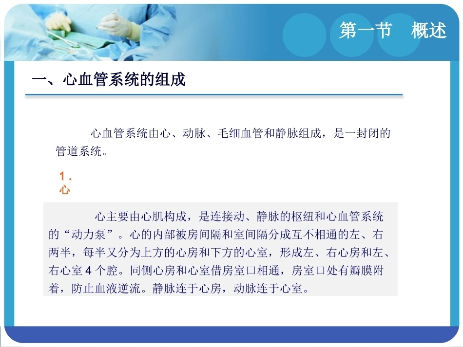 人体解剖学：心血管系统PPT教学课件.pptx_第3页