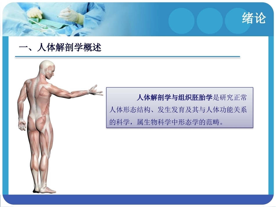 人体解剖学：绪论PPT教学课件.pptx_第3页