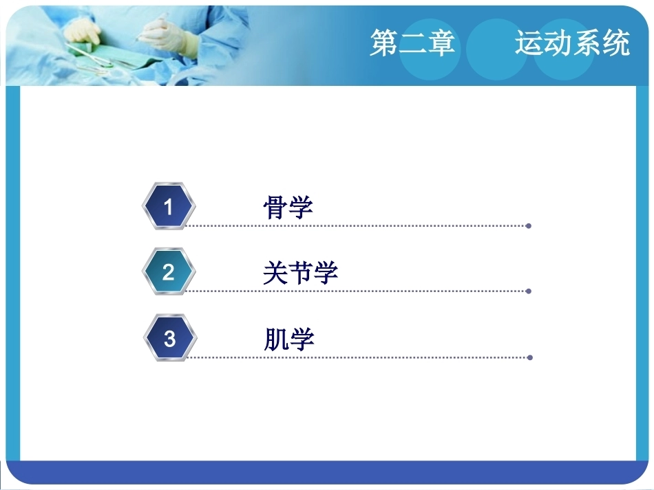 人体解剖学：运动系统PPT教学课件.pptx_第3页