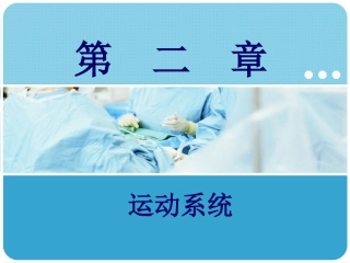 人体解剖学：运动系统PPT教学课件.pptx