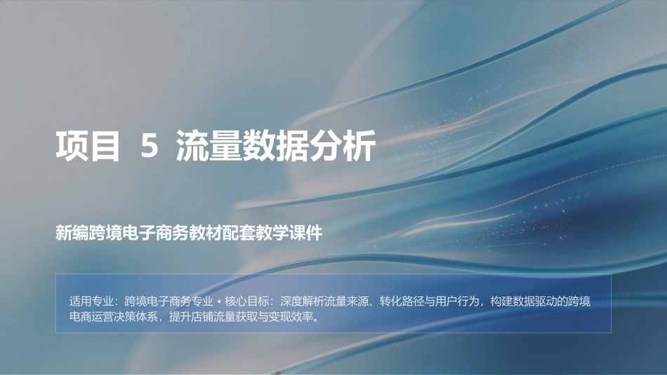 商务数据分析与应用：流量数据分析PPT教学课件.pptx_第1页