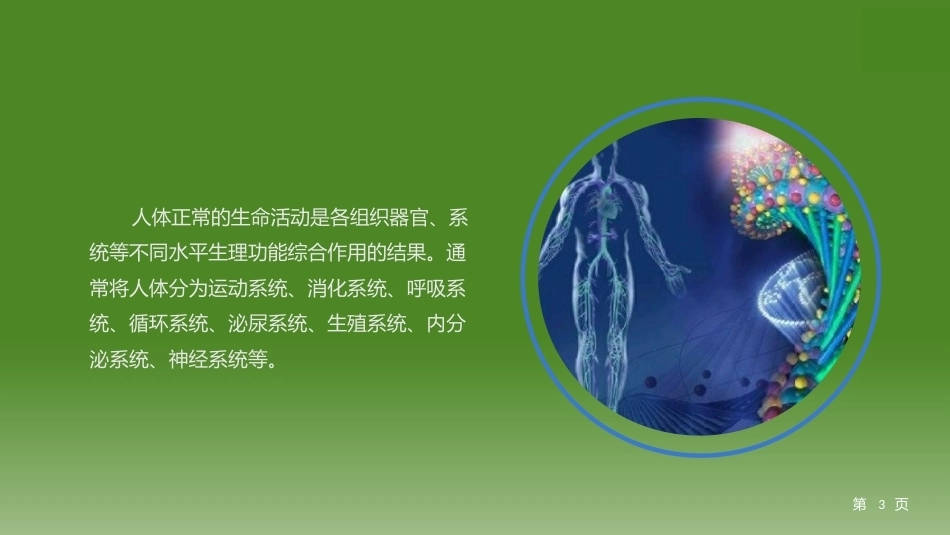 少年儿童健康与安全教育：少年儿童的生理结构特点与卫生PPT教学课件.pptx_第3页