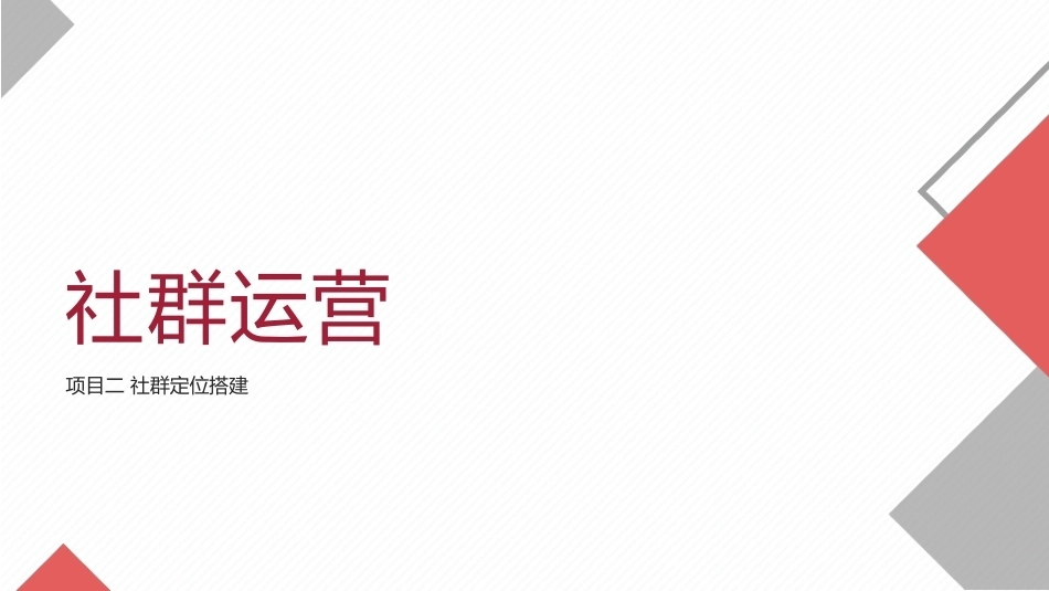 社群运营：社群定位搭建.pptx_第1页