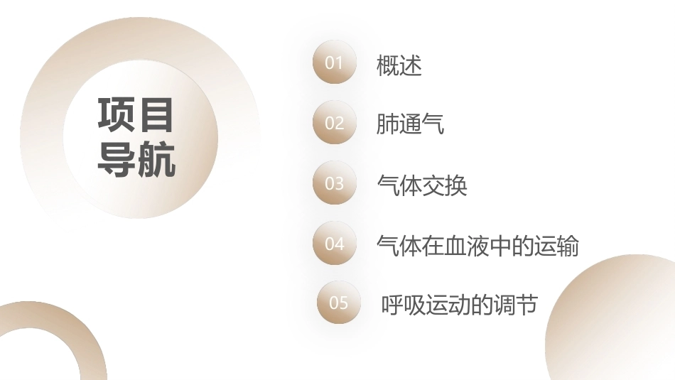 生理学：呼吸PPT教学课件.pptx_第2页