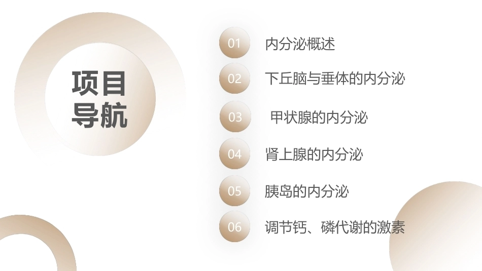 生理学：内分泌PPT教学课件.pptx_第2页