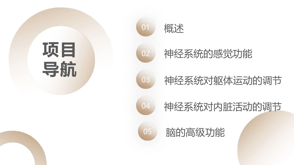 生理学：神经系统的功能PPT教学课件.pptx_第2页