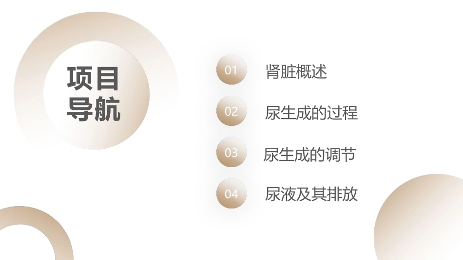 生理学：肾的排泄功能PPT教学课件.pptx_第2页