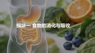 食品营养与健康中职：食物的消化与吸收PPT教学课件.pptx
