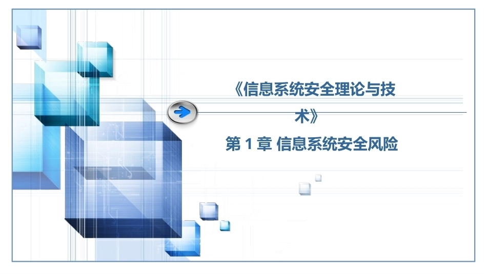 信息系统安全理论与技术：信息系统安全风险PPT教学课件.pptx_第1页
