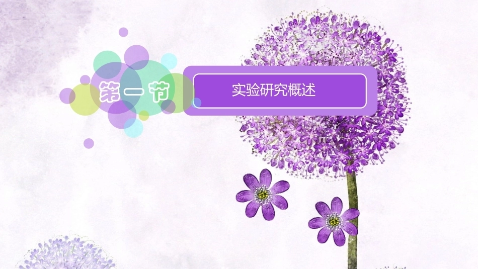 学前教科研方法与研究性学习：实验研究PPT教学课件.pptx_第2页