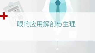眼的应用解剖与生理教学课件.pptx