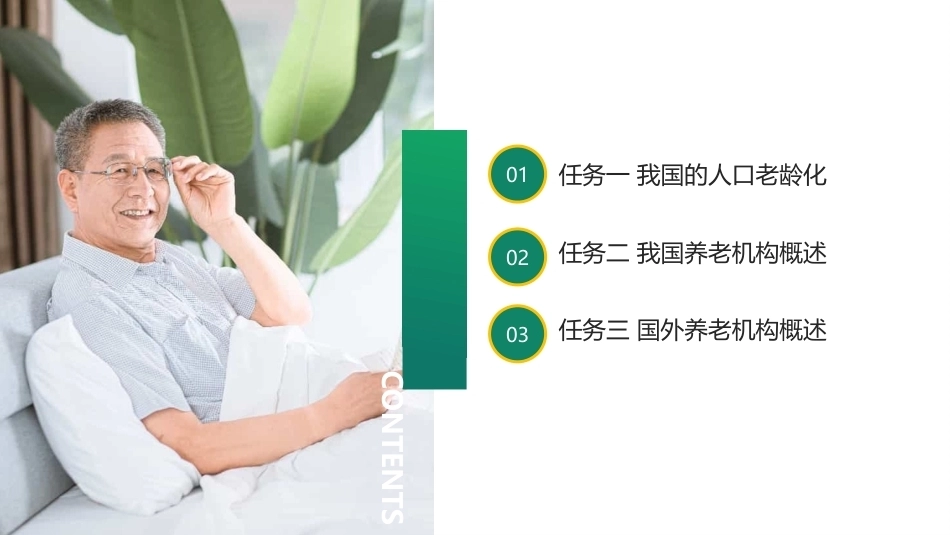 养老机构运营与管理：养老机构的概述PPT教学课件.pptx_第2页