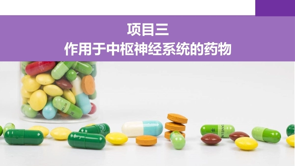 药理学：作用于中枢神经系统的药物PPT教学课件.pptx_第2页